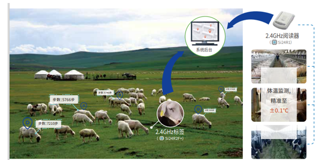 智慧农业管理系统-2.4GHz活体检测标签方案